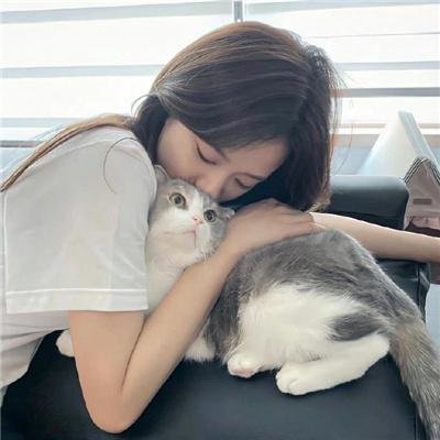 法网追凶